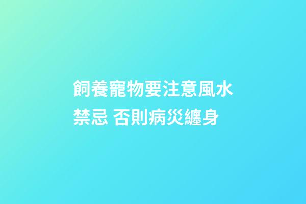 飼養寵物要注意風水禁忌 否則病災纏身